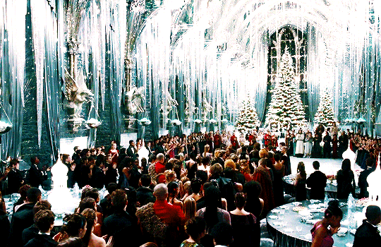 해리포터 팬들 사이에서 갈리는 유형 | 인스티즈