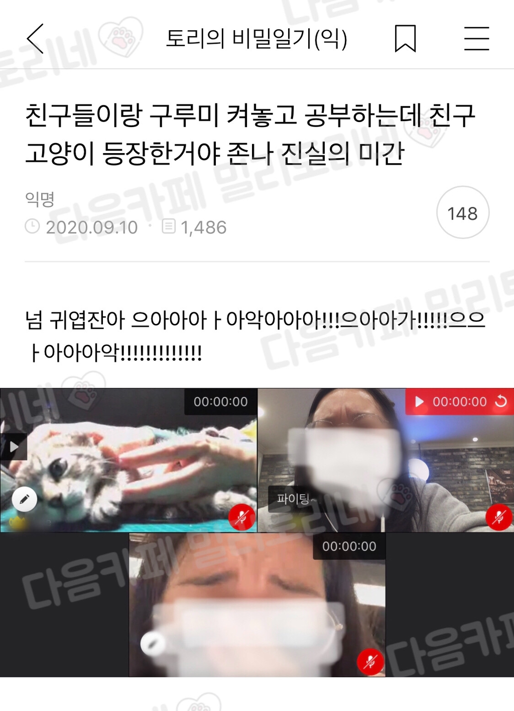 친구들이랑 구루미 켜놓고 공부하는데 친구 고양이 등장한 거야 | 인스티즈