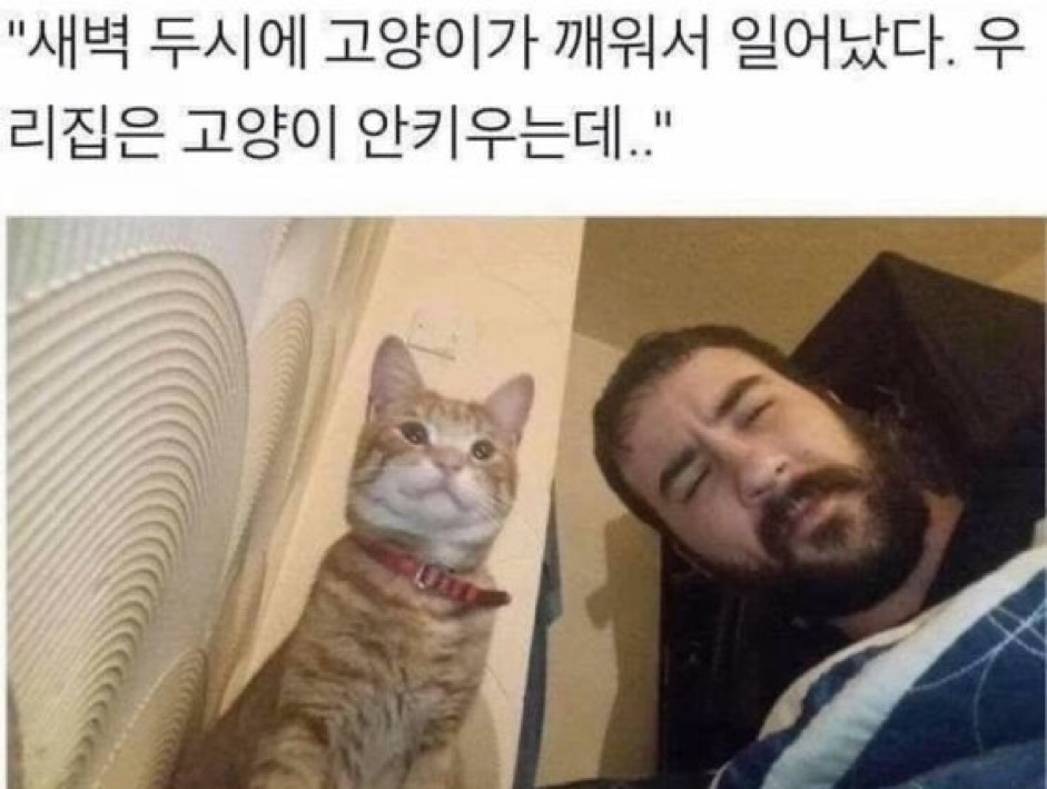 새벽두시 이미지