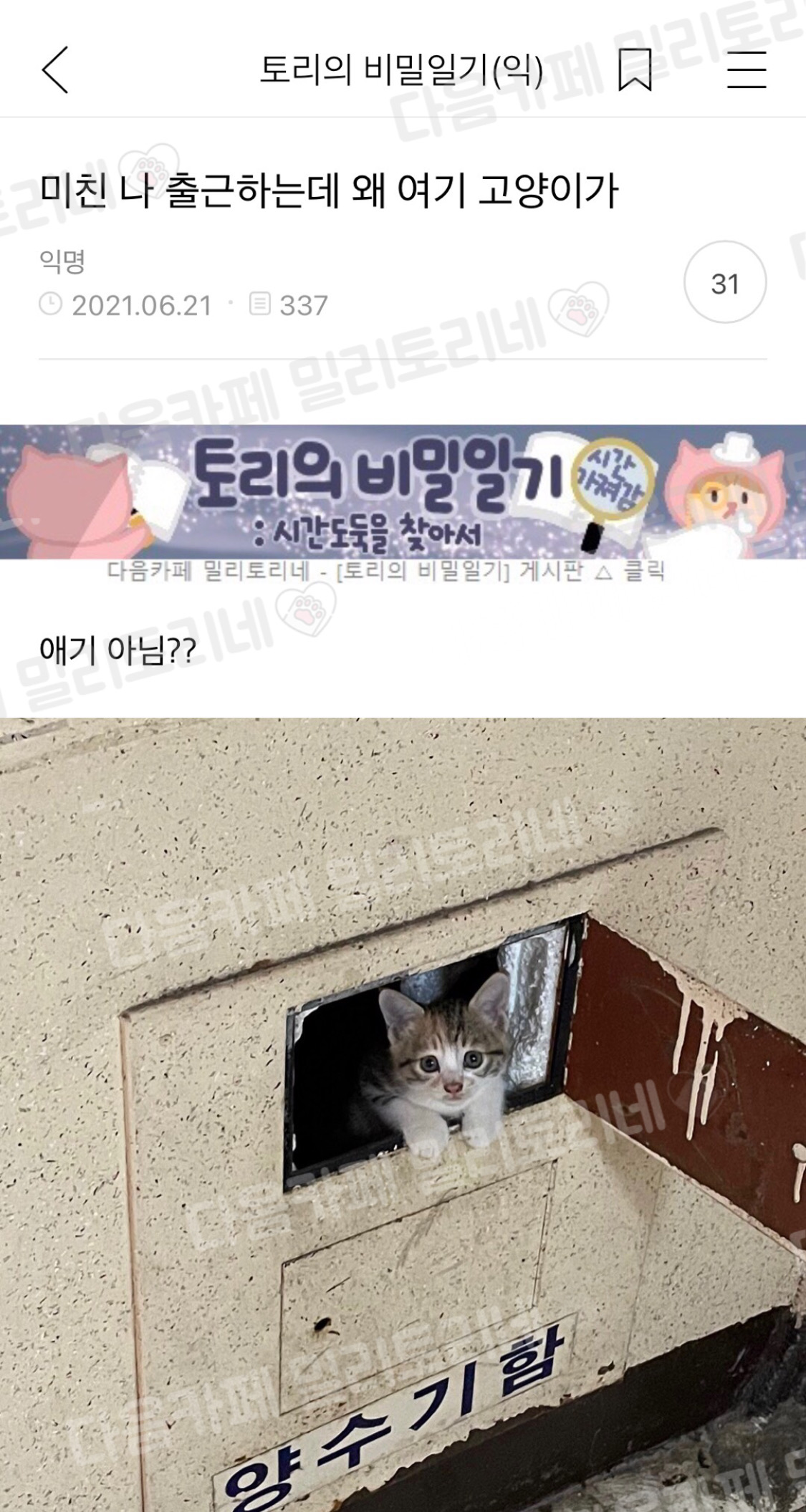 미친 나 출근하는데 왜 여기 고양이가 | 인스티즈