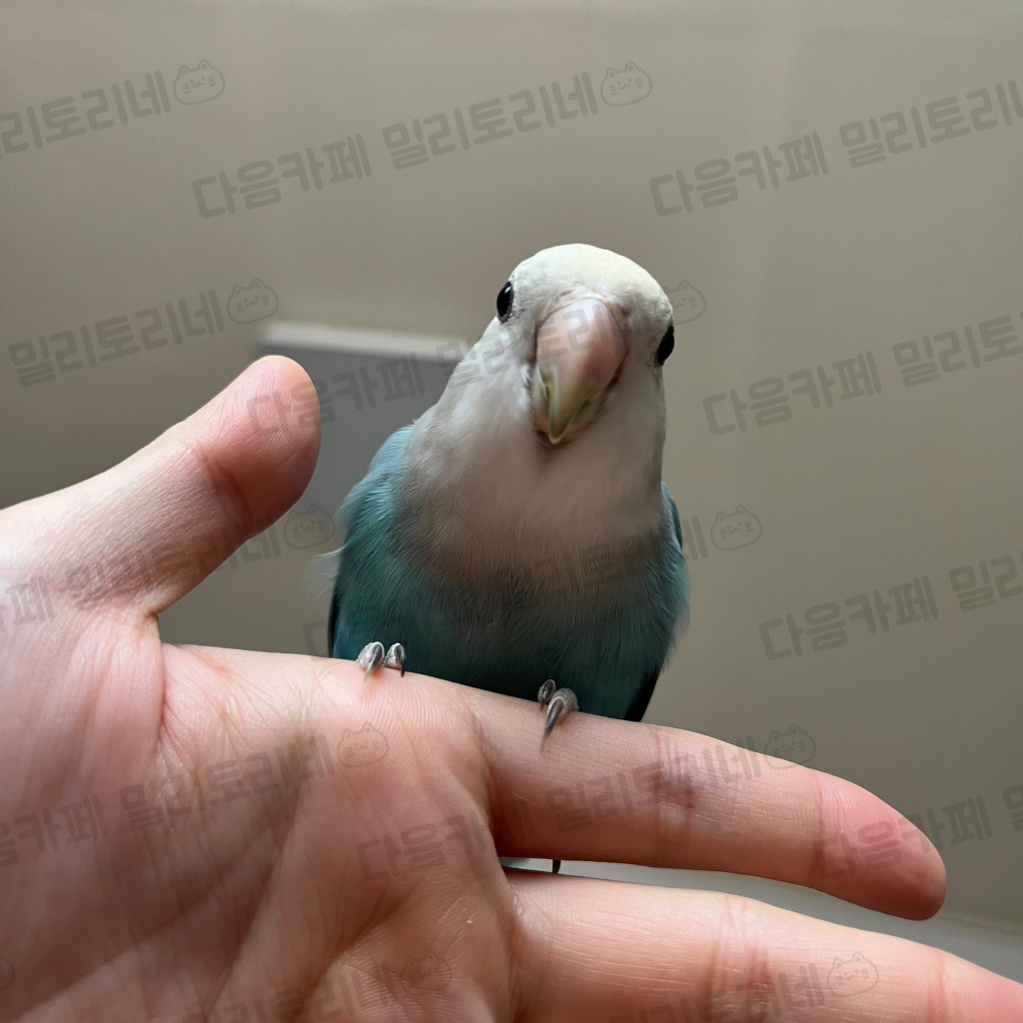 나 무시 당하는 거 맞지 | 인스티즈