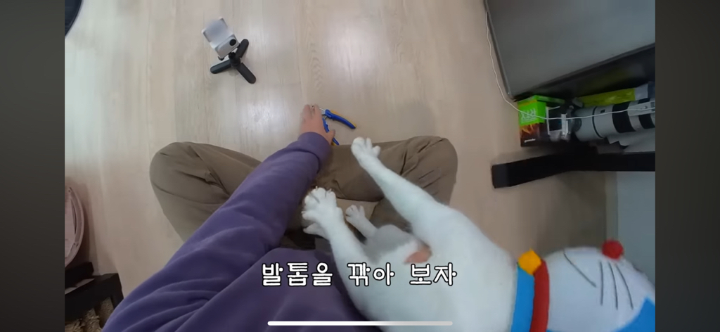 [hahaha] 도라에몽이 된 무(feat.무라에몽) | 인스티즈