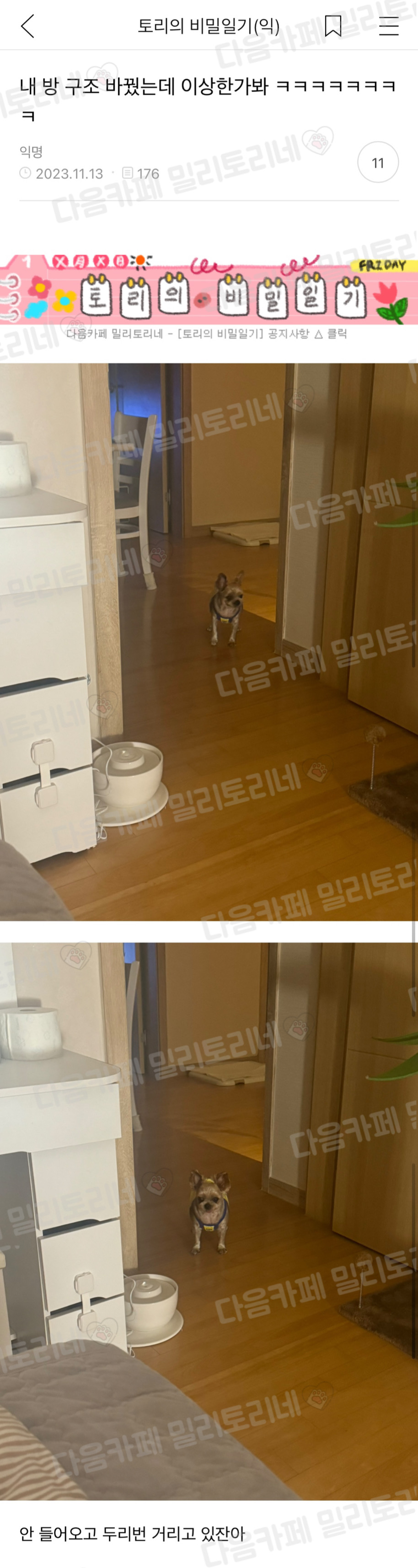[냥귀염] 내 방 구조 바꿨는데 이상한가봐 ㅋㅋㅋㅋㅋ | 인스티즈