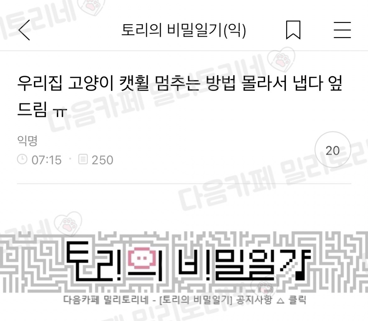 [냥귀염] 우리집 고양이 캣휠 멈추는 방법 몰라서 냅다 엎드림 ㅠ | 인스티즈