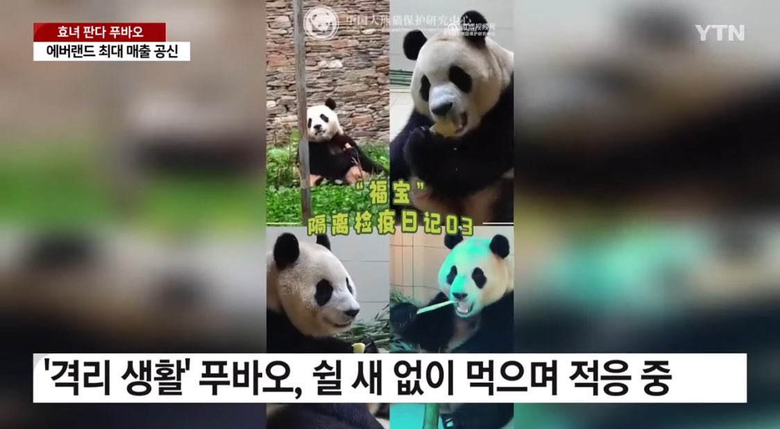 무해 이미지