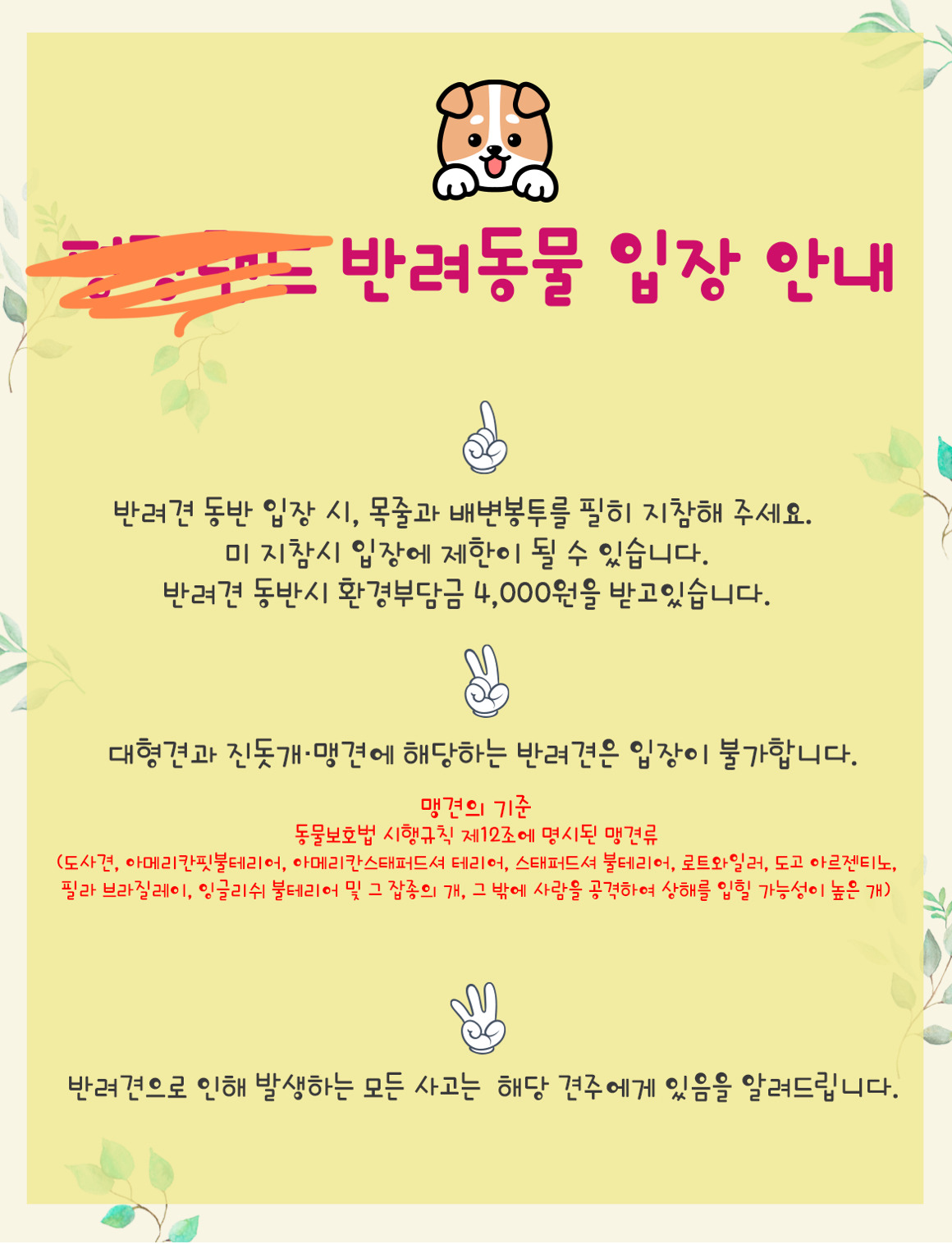 대부분의 반려견시설 이용이 불가한 진돗개+진도믹스 | 인스티즈