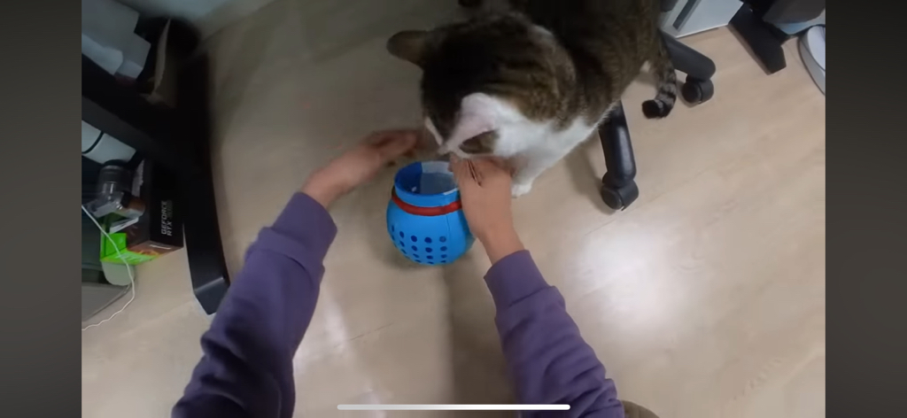 [hahaha] 도라에몽이 된 무(feat.무라에몽) | 인스티즈