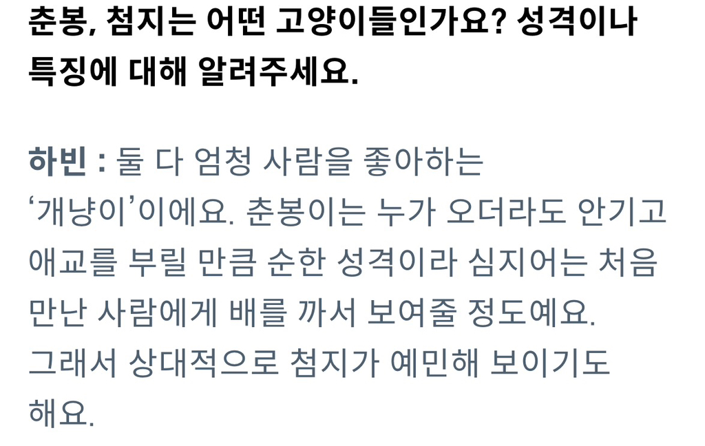 잡지 인터뷰한 언더월드(feat.춘봉첨지) | 인스티즈