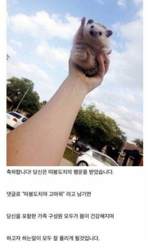 따봉 이미지