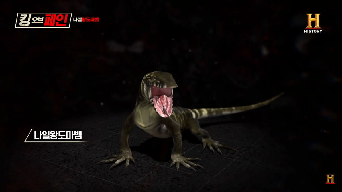 보는 사람들마다 제발 주작 좀 하라고 하는 프로그램 ㄷㄷ | 인스티즈