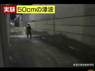 밀려드는 힘이 너무 강해서 인간은 못버티는 50센치 쓰나미 실험 | 인스티즈