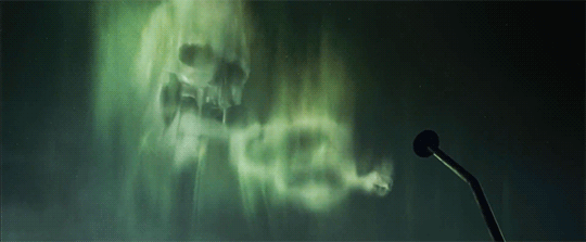 해리포터 팬들 사이에서 갈리는 유형 | 인스티즈