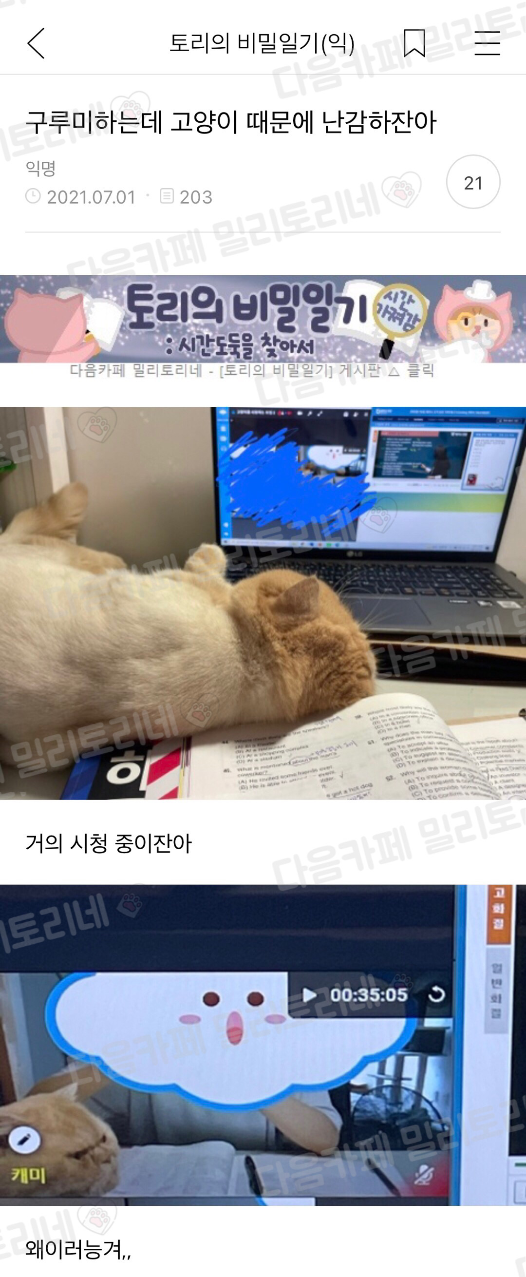구루미하는데 고양이 때문에 난감하잔아 | 인스티즈