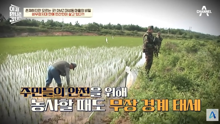 대성동 마을이 북한과 얼마나 가까운지 체감 | 인스티즈