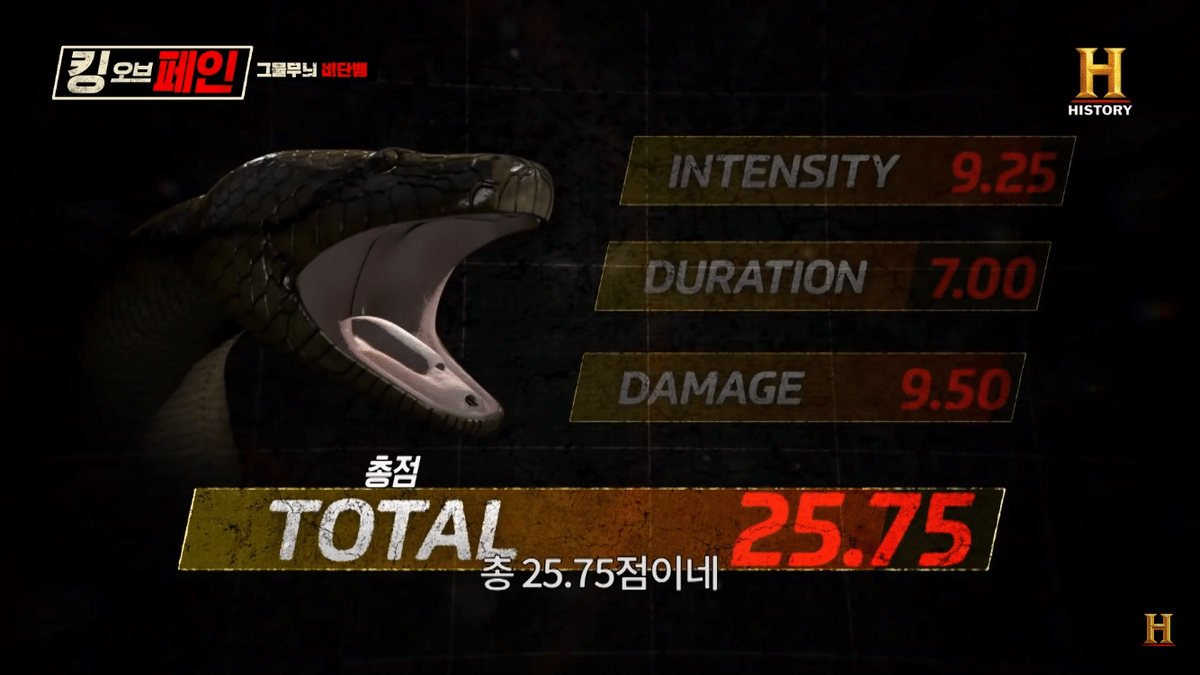 보는 사람들마다 제발 주작 좀 하라고 하는 프로그램 ㄷㄷ | 인스티즈