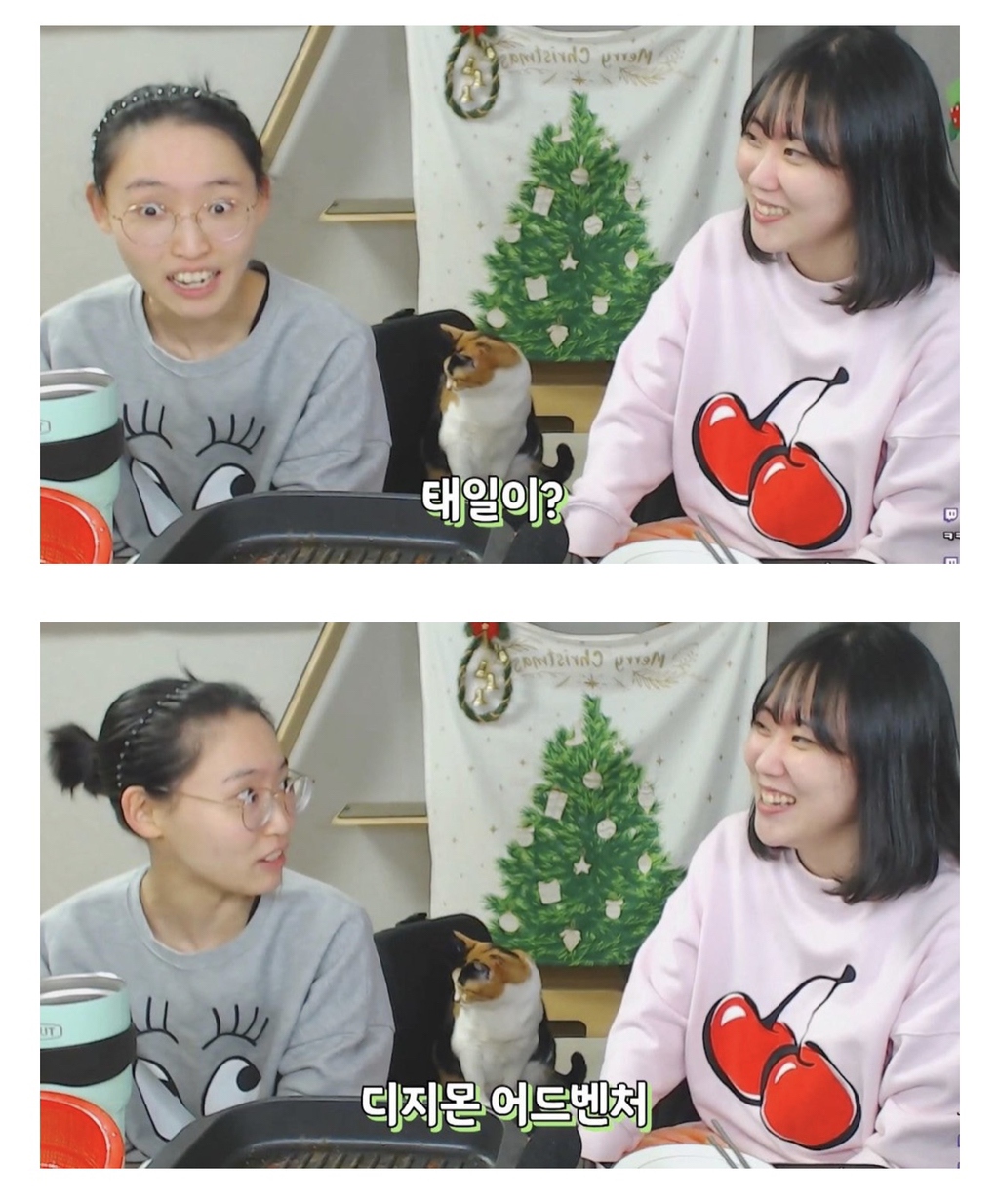 아이돌 이름 잘못 말해서 싹싹 비는 유튜버.jpgif | 인스티즈
