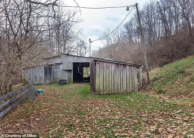 현재 난리난 미국 흑인 아이 노예 사건 | 인스티즈