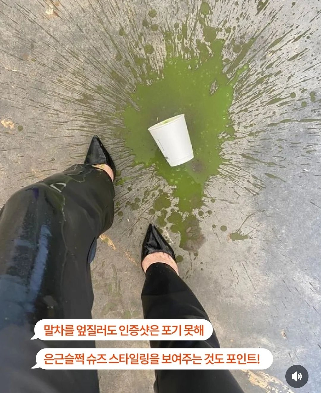 미국에서 유행중인 말차 인증샷 | 인스티즈