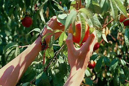 봄, 여름, 가을, 겨울의 어원 | 인스티즈