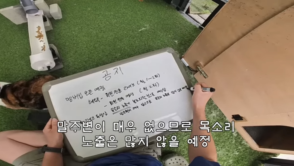 멤버십 오픈 예정이라는 유튜버 haha ha | 인스티즈