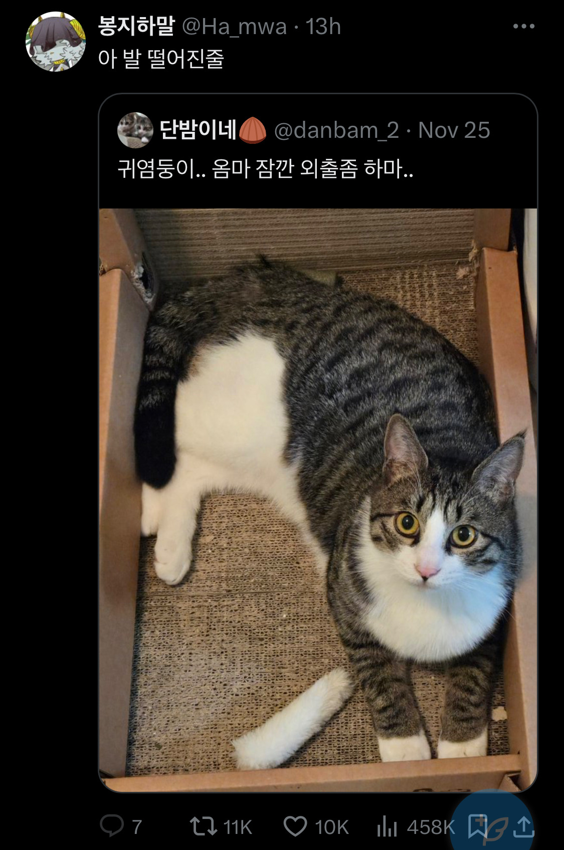 중안부가 저렇게 기니까 사랑 못받은거임.twt | 인스티즈