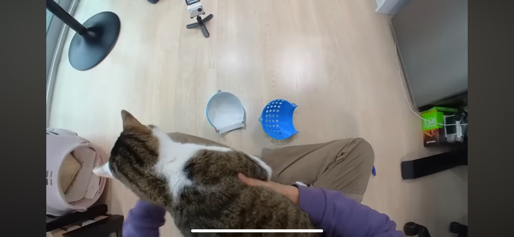 [hahaha] 도라에몽이 된 무(feat.무라에몽) | 인스티즈