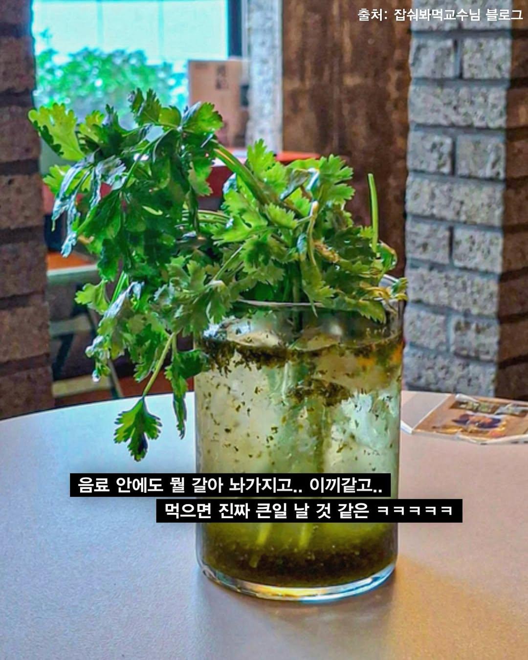 성심당이 내놓은 선넘은 텃밭에디션 | 인스티즈