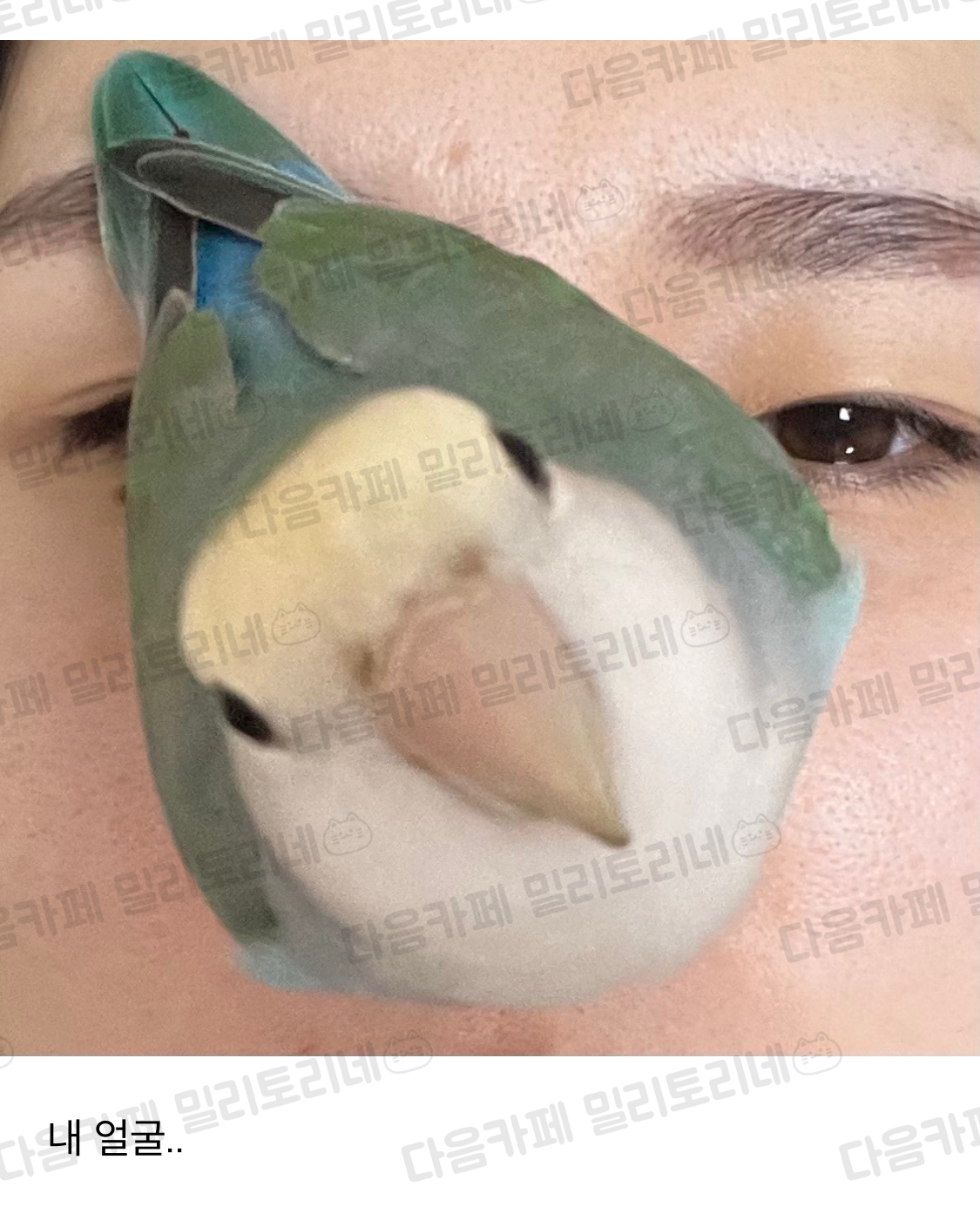 나 무시 당하는 거 맞지 | 인스티즈