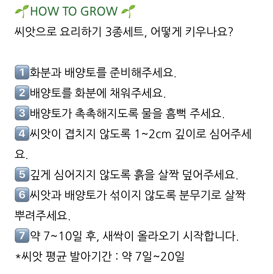 다이소 신상 씨앗으로 요리하기 🌱👩🏻‍🍳 | 인스티즈