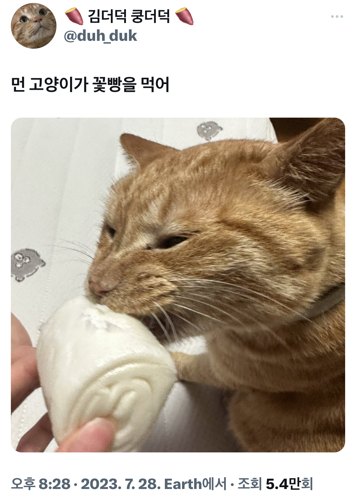표정뭐야 누워있는사람 첨보나.twt | 인스티즈