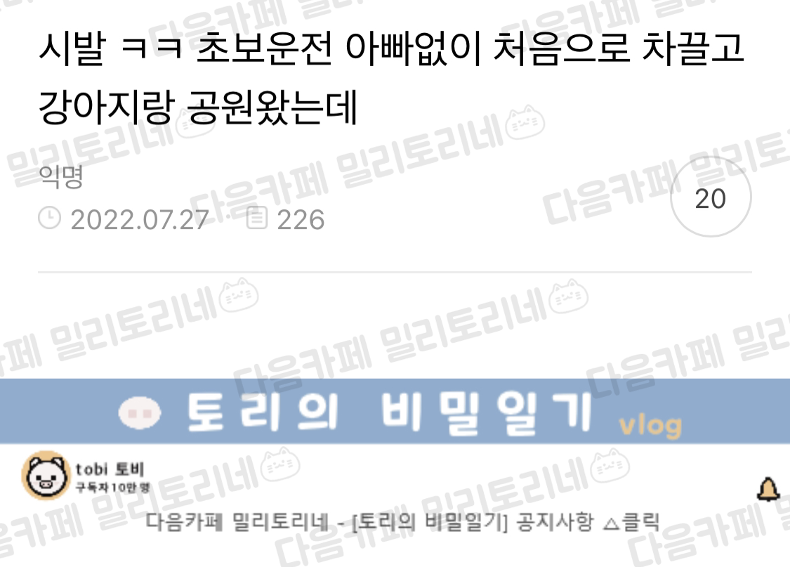  ㅋㅋ 초보운전 아빠없이 처음으로 차 끌고 강아지랑 공원 왔는데 | 인스티즈