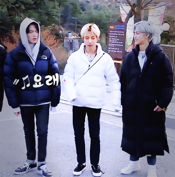 드림테라피 이미지