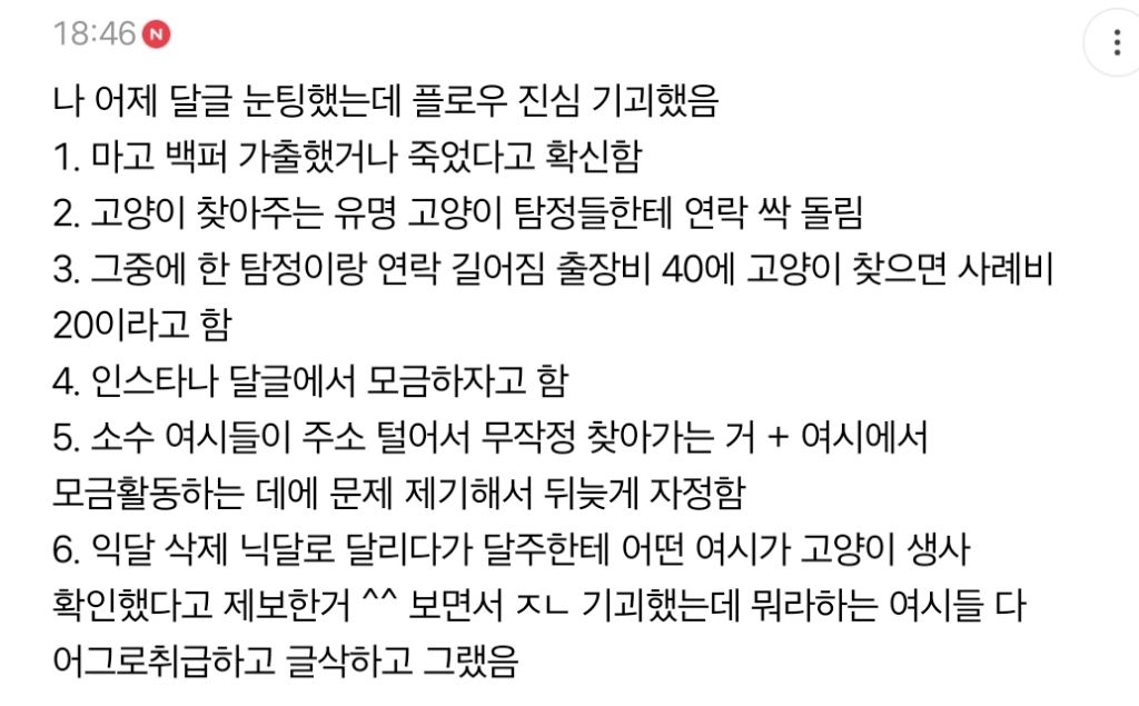 고양이 마고 걱정돼서 유튜버 할머니 집 찾아갔다는 여성시대 회원들.jpg | 인스티즈