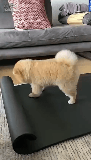 여기서 언니가 이렇게 이렇게 하던데 | 인스티즈