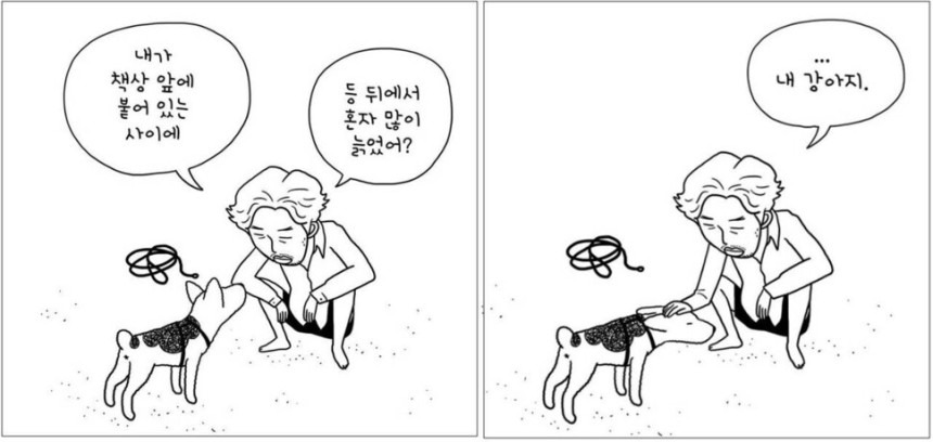노견일기 올드독 정우열 작가 인스타 게시글 | 인스티즈