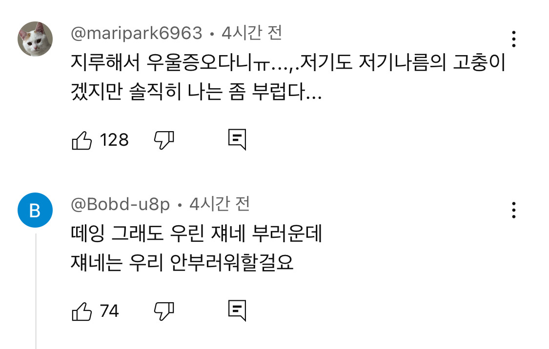 호주 사는 유튜버가 말하는 호주에 의외로 우울증이 많은 이유.jpg | 인스티즈