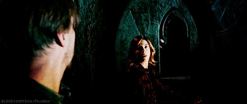 해리포터 팬들 사이에서 갈리는 유형 | 인스티즈