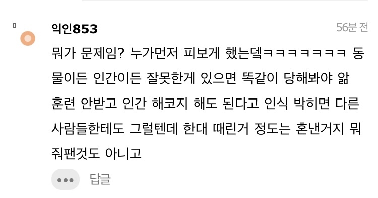 길고양이 한대 때렸는데 내가 잘못한거냐 | 인스티즈