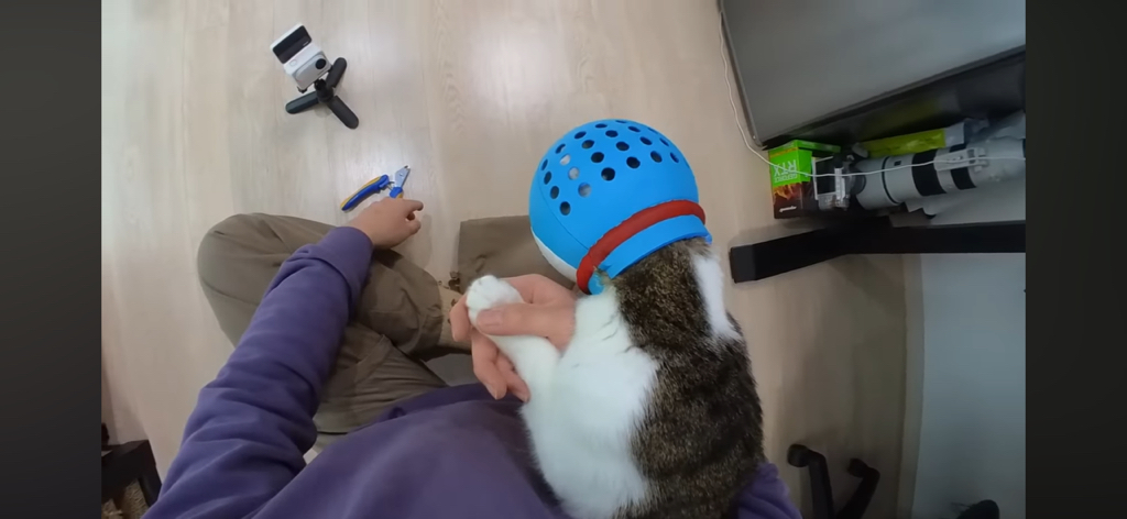 [hahaha] 도라에몽이 된 무(feat.무라에몽) | 인스티즈