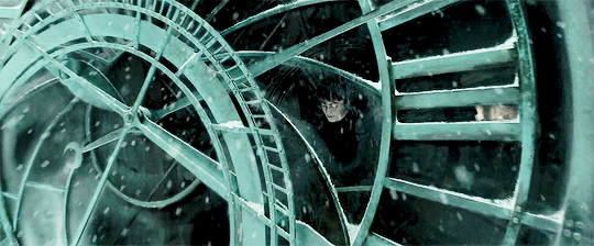 해리포터 팬들 사이에서 갈리는 유형 | 인스티즈