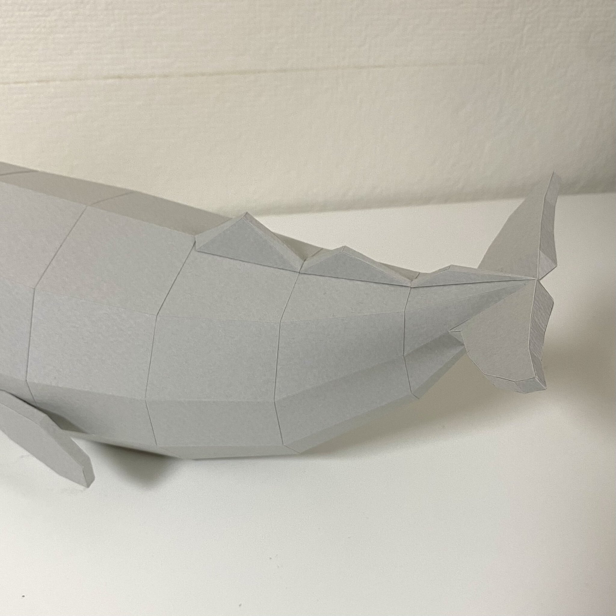 우영우 고래 cg의 비밀 | 인스티즈