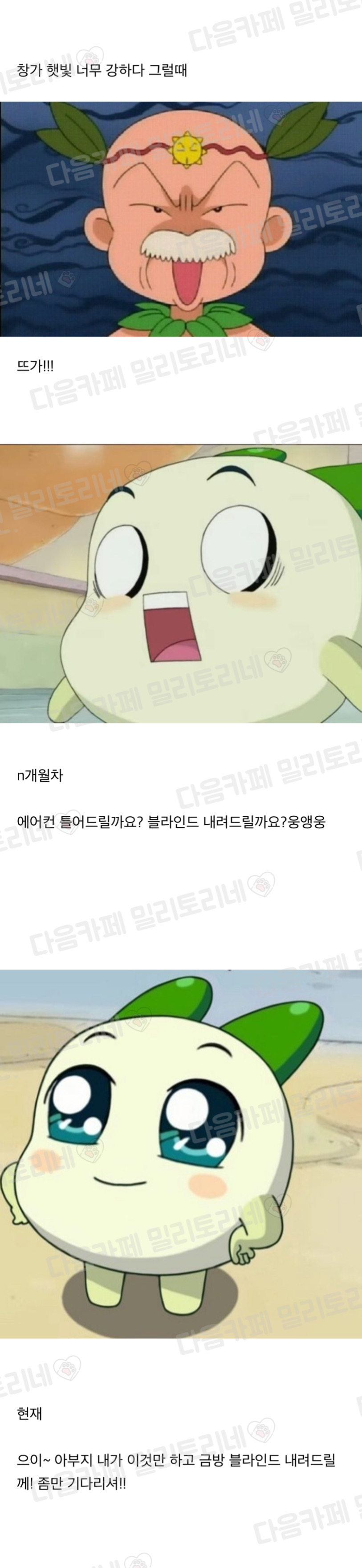 노년층 많이 오는 카페 알바 토비의 변화 | 인스티즈