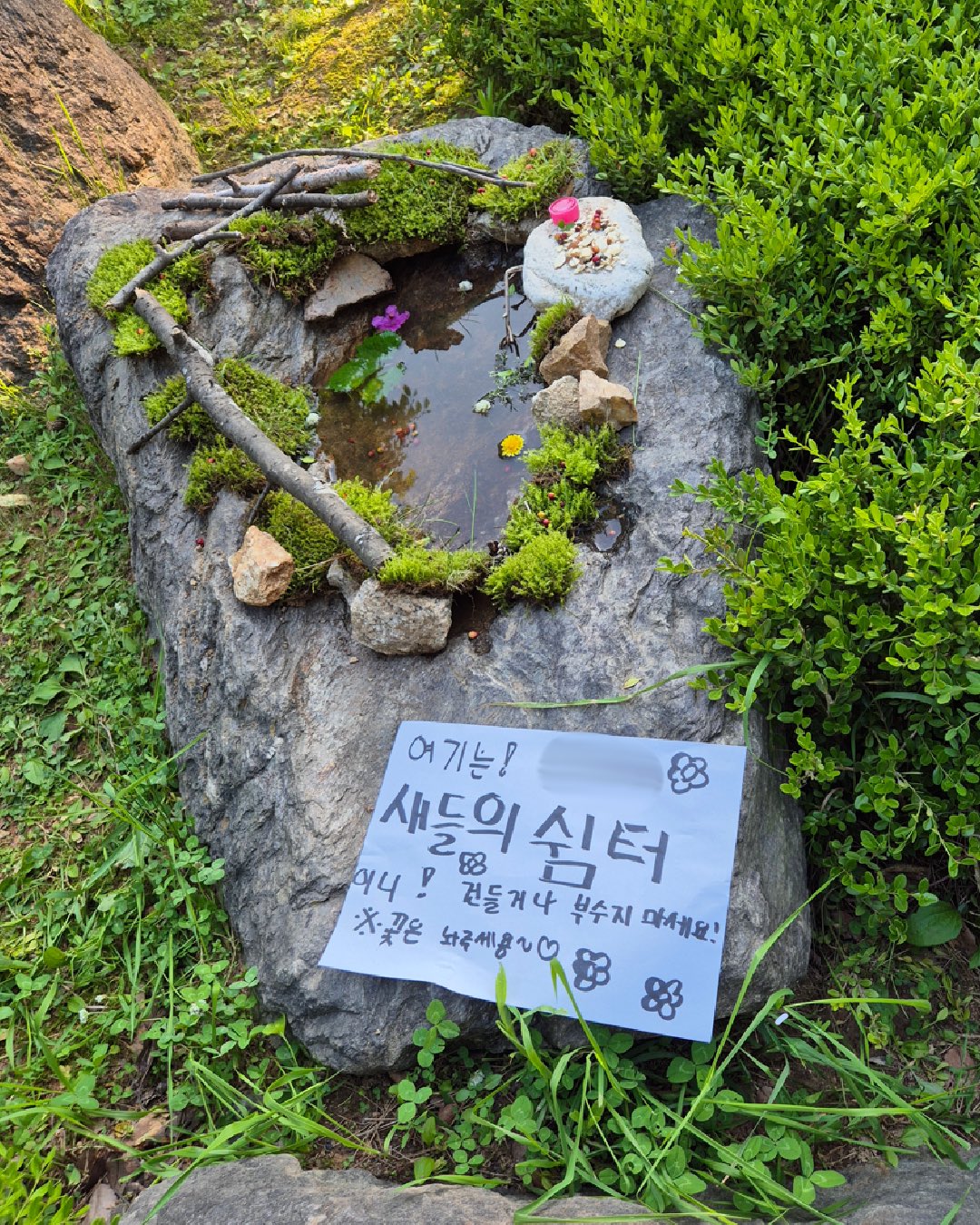 항상 물이 고여있는 공원의 돌.twt | 인스티즈