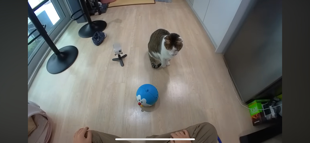 [hahaha] 도라에몽이 된 무(feat.무라에몽) | 인스티즈