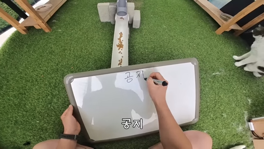 멤버십 오픈 예정이라는 유튜버 haha ha | 인스티즈