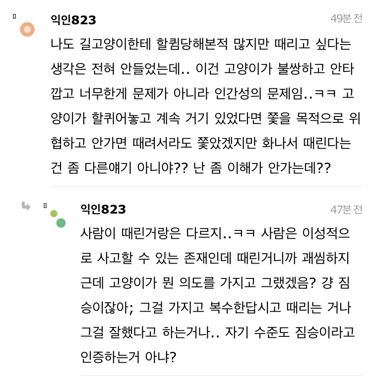 길고양이 한대 때렸는데 내가 잘못한거냐 | 인스티즈