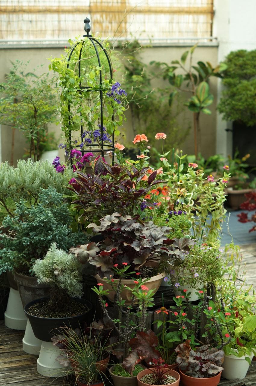 식물 가득한 옥상정원 🌿🍃 | 인스티즈