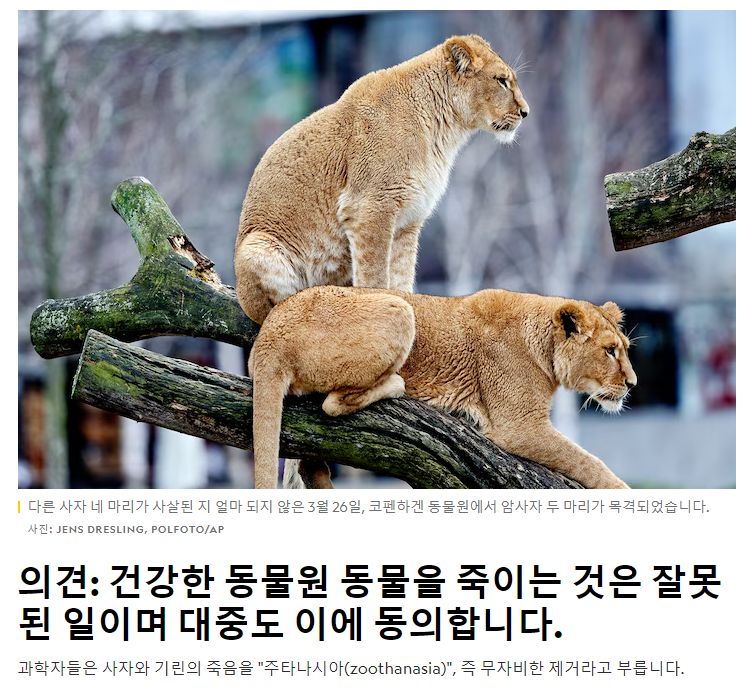 일부 혹은 많은 유럽 동물원에서 관행처럼 벌어지는 일 (죽은 동물 사진 주의) | 인스티즈