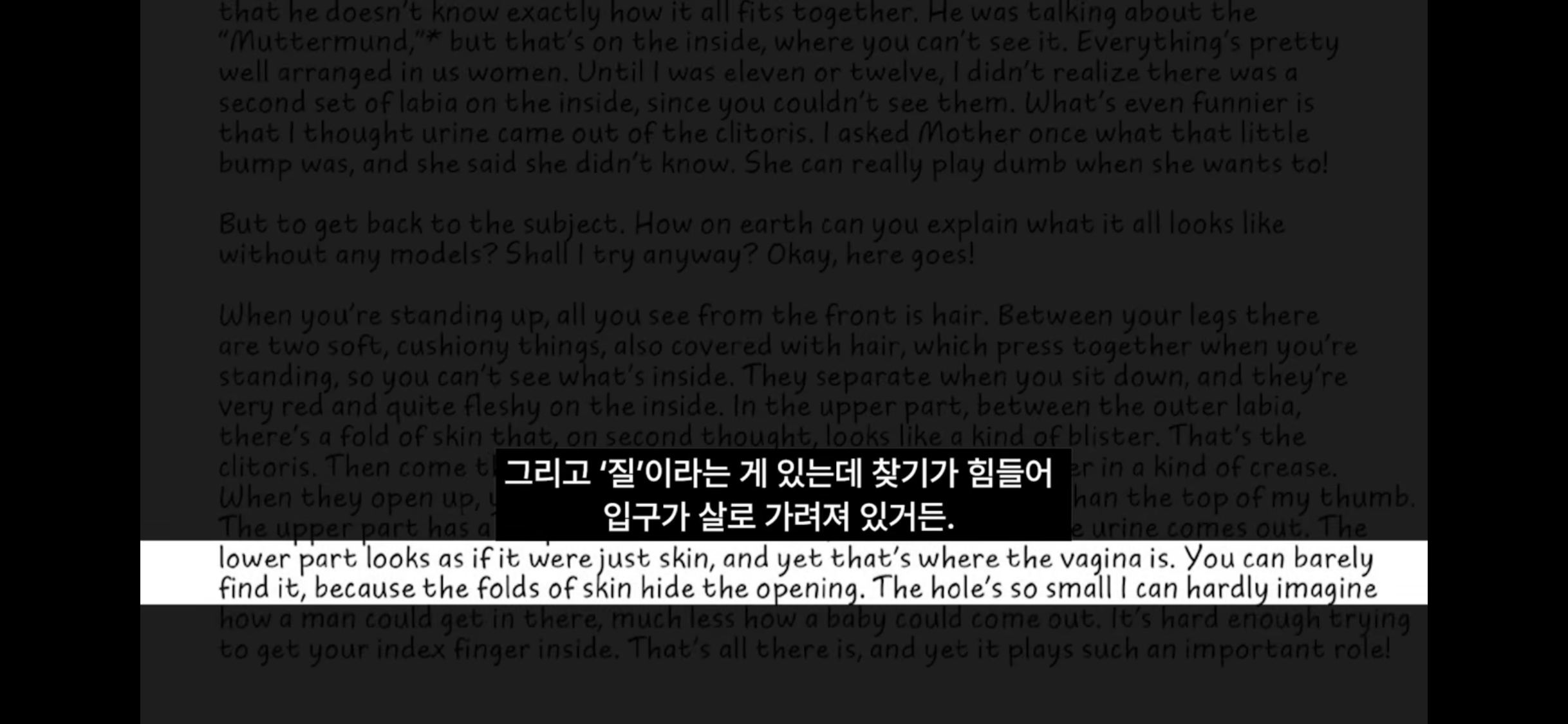스압) 안네의 일기📝 우리가 절대 모르는 숨겨진 내용들 | 인스티즈
