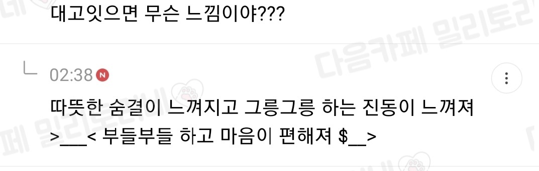 [냥귀염] 얼굴 맞대고 자야하는 고양이 어트케생각해 | 인스티즈